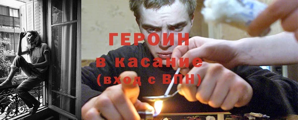 индика Волоколамск